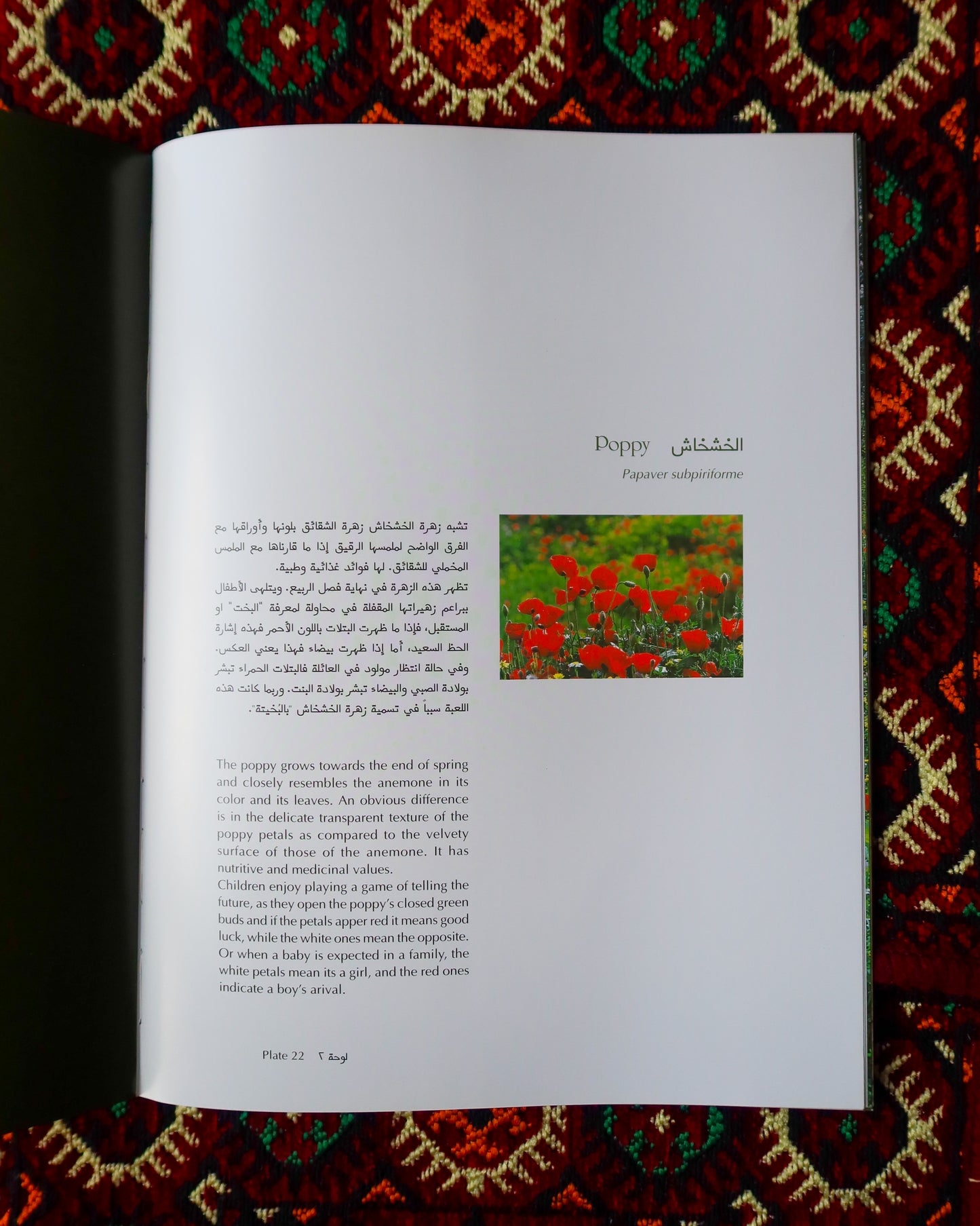 Spring is Here: Embroidered Flowers of The Palestinian Spring