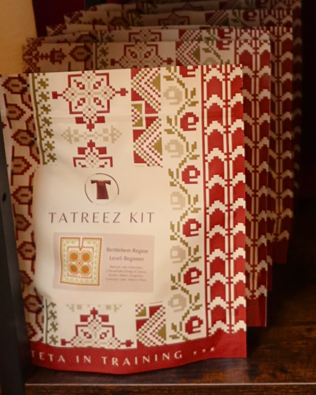 Beginner Tatreez Kits