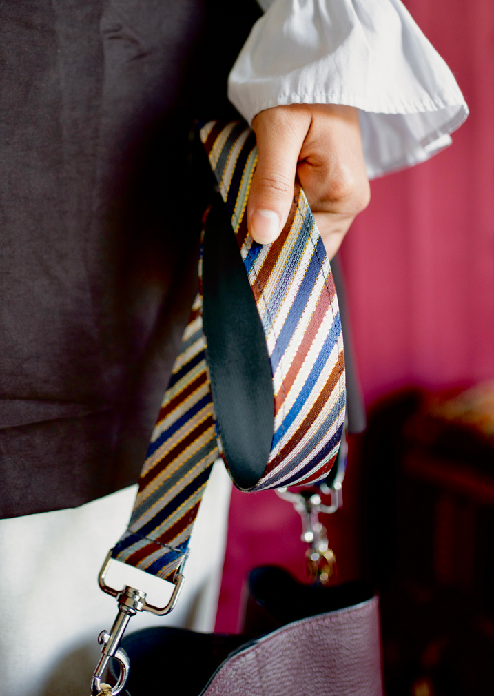 Bag Strap: Land and Sky